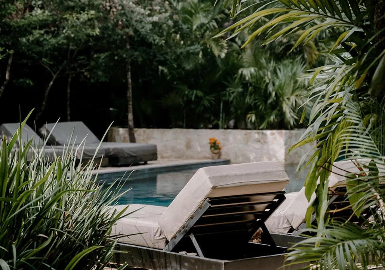Hotel Bardo - Adults Only Tulum 5*,  Mexico